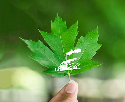 場(chǎng)地修複